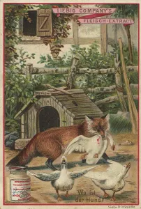Picture series picture puzzle, where is the dog