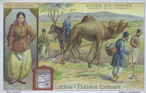 Picture series Pictures from Persia
