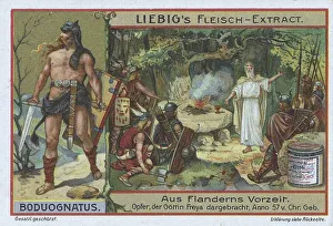 Picture series from prehistoric times in Flanders