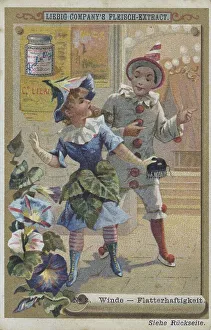Picture series Properties of Flowers