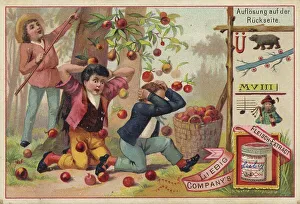 Picture series puzzle, many ripe apples fall from the tree and hit two boys sitting underneath