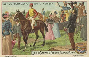 Picture series At the racecourse