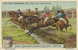 Picture series On the racecourse