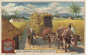 Picture series Scenes from Cuba