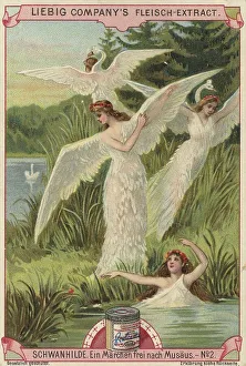Picture series Schwanhilde, a fairy tale based on Musaeus