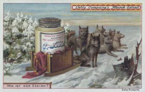 Picture series The search, where is the Eskimo ? Improvised carriage from a Liebig box with dog
