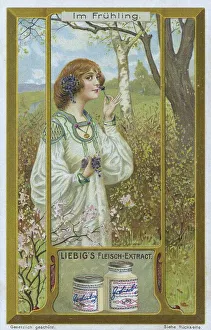 Picture series In Spring, Young Woman with Flowers