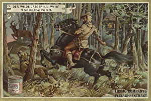 Picture series The Wild Hunter by Jul