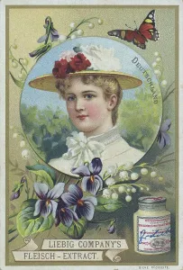 Picture series, Woman in portrait with headdress