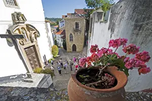 Picturesque alley in the small town of Obidos