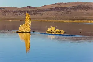 Picturesque Mono lake. Birds on the lake