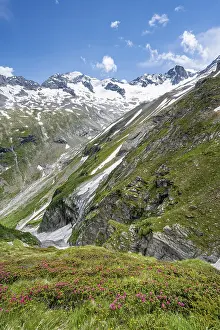 Picturesque mountain landscape with blooming alpine roses