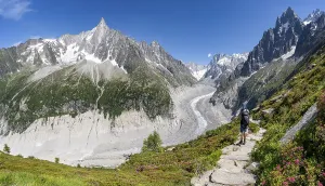 Picturesque mountain landscape with blooming alpine roses