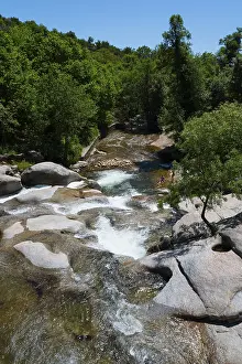 A picturesque river flowing over rocks