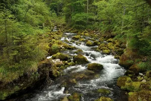 Piesslingbach, Windischgarsten