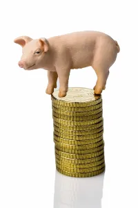 A pig stands on a pile of coins