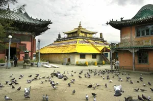 Many pigeons in front of Buddhist temple in Gandan monastery Ulaan Baatar Mongolia