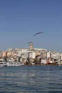 Pigeons fly in sky over the sea in Istanbul in the urban environment