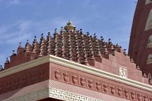 Pigeons sitting at dome of Nageshwar shiva temple at dwarka district