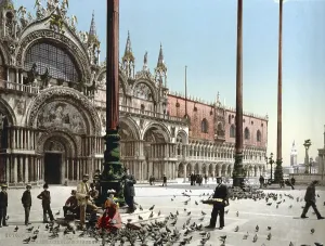 Pigeons in St Mark's Place