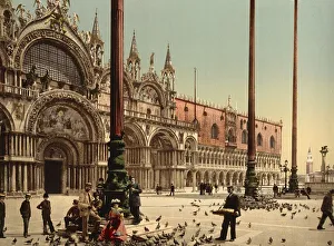 Pigeons in St Marks Square, 1890