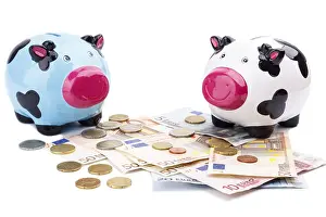 Piggy bank and money isolated on white