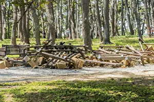 A pile of dismantled wooden logs and debris in a forest setting