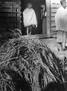A pile of hay in front of a hut in the riot effected area of Noakhali East Bengal, November 1946, India, Asia