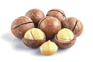 Pile of macadamia nuts with shell isolated on white background