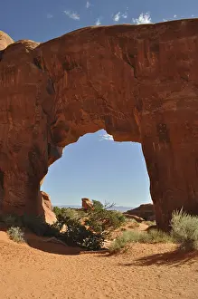 Pine Tree Arch, a large sandstone arch with clear sky in the background