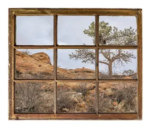 Pine tree with magpie nest on sandstone cliff