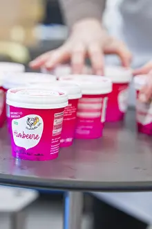Several pink cups of raspberry ice cream are ready on a table