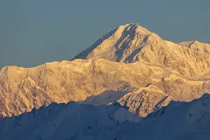 Pink Denali Mountain at Sunrise. Alaska, USA