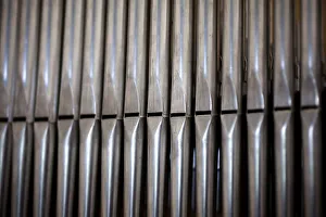 Pipes of an organ