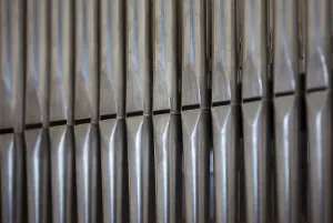 Pipes of an organ