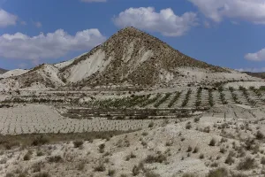 Category Mountain Landscapes Prints: Plantations in the arid landscape near Fortuna