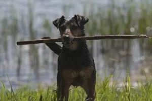 Play with me