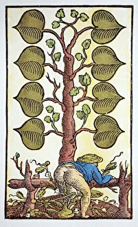 Playing card with a vulgar image drawn by Peter Floetner