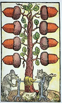 Playing card with a vulgar image drawn by peter Floetner