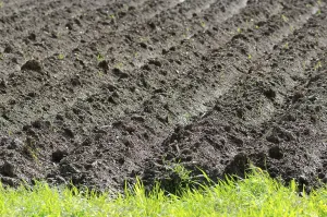 Plowed field on a bright summer day