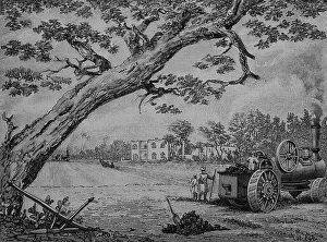 Plowing of cotton fields in Egypt