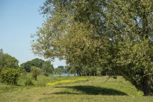 Poederoijen, Gelderland, Netherlands