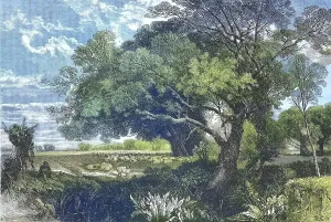 The Poitou countryside in western France