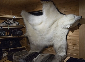 Polar bear fur, shop, Longyearbyen