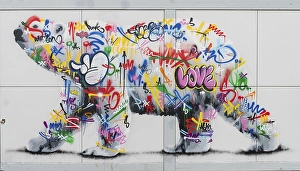 Category Scandinavia Prints: Polar bear (Ursus maritimus) from Graffiti