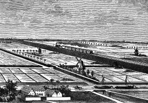 In the polders of Holland, agriculture on the fertile soils of the marshes, farm, windmill, rectangular arrangement, railway line with steam locomotive, drainage ditch, towage by horse, transport by boat, geography, Kingdom of the Netherlands