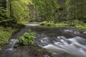 Polenz, river section in the Polenztal
