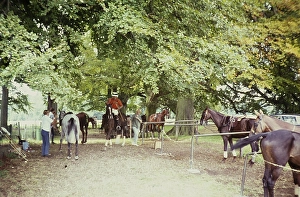 Polo match between horses and grooms Cirencester, Gloucestershire, England, UK 1967