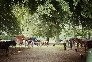 Polo match between horses and grooms Cirencester, Gloucestershire, England, UK 1967