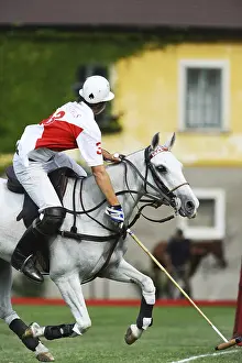 A polo player at full gallop, Ebreichsdorf